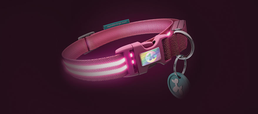 Go doggie clearance glow led collar