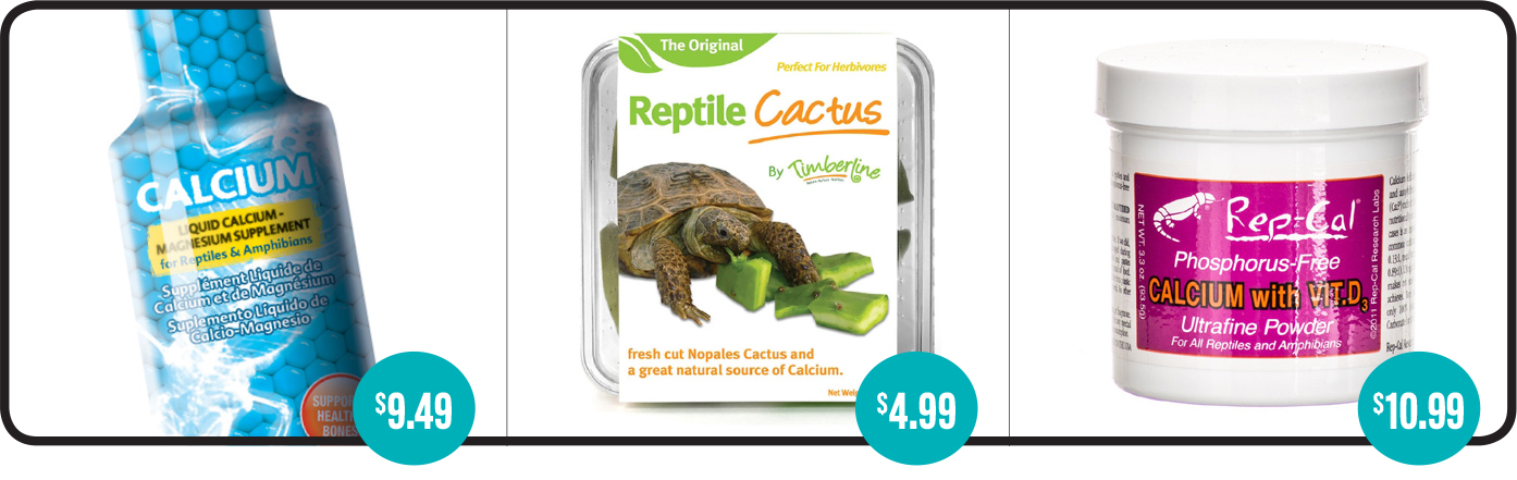 Essential vitamins for reptiles