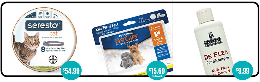 Topical tick products for cats