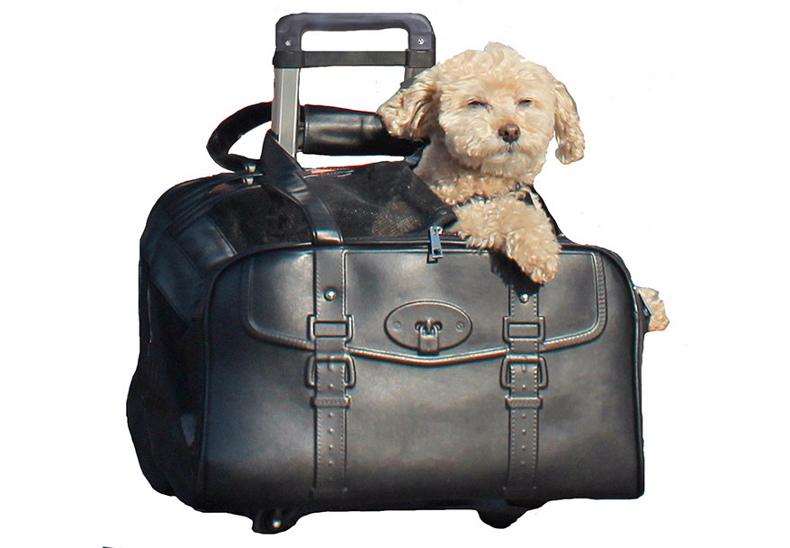 Darien Pet Carrier