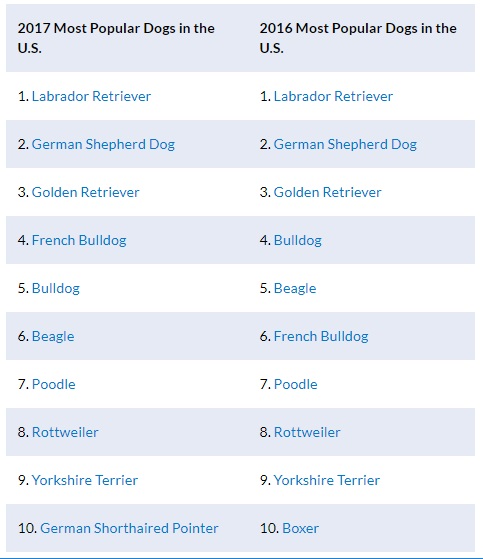 PETS DogBreedRankings