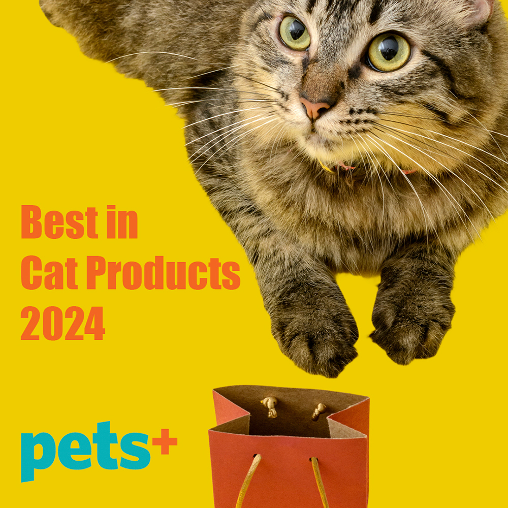 PETS+ Presents: Best in Cat Products for 2024!