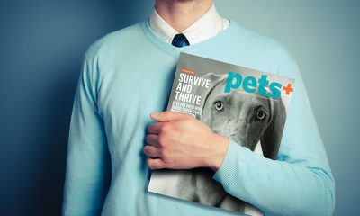 debut issue PETS+