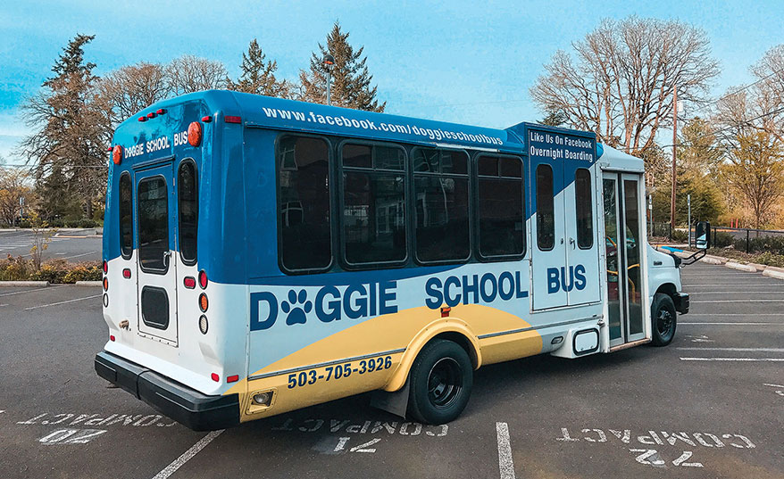 Doggie School Bus: A Commute to Make 