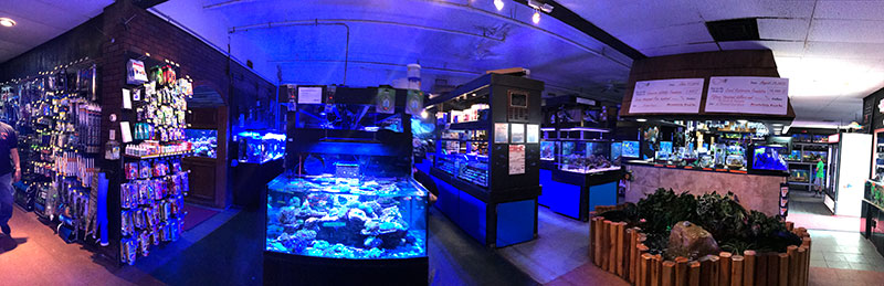 Les magasins d'aquarium de NJ - PP 11 18 AbsolutelyFish Interior3