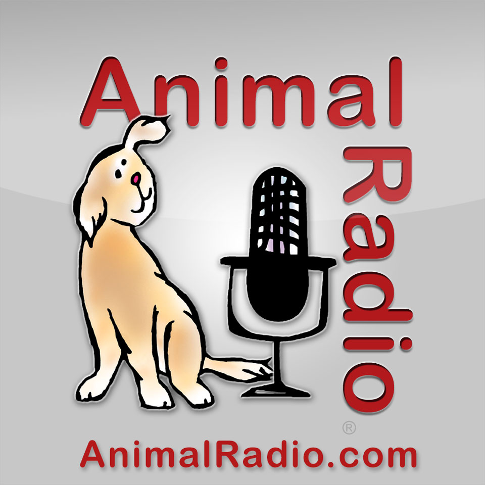 Radio pets. Радио animal. Подкаст Энималс. Радио о животных Анимал радио. Животные и радио.