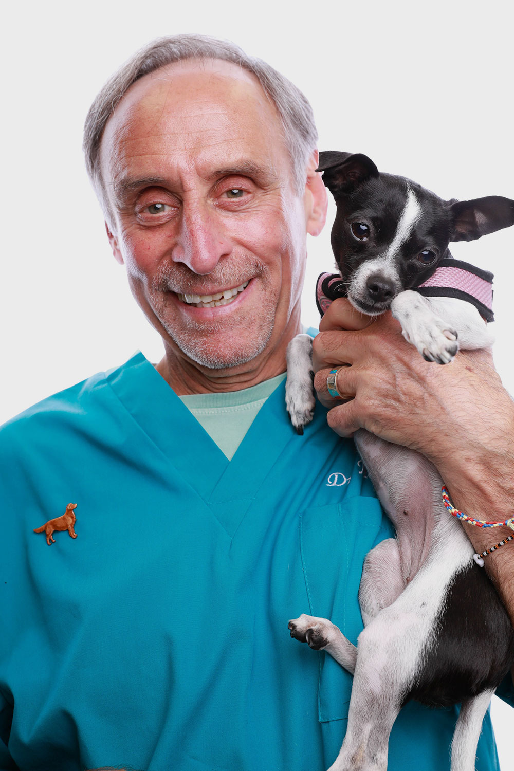 veterinarian marty goldstein