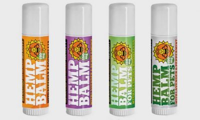 Colorado Hemp Honey Hemp Balm