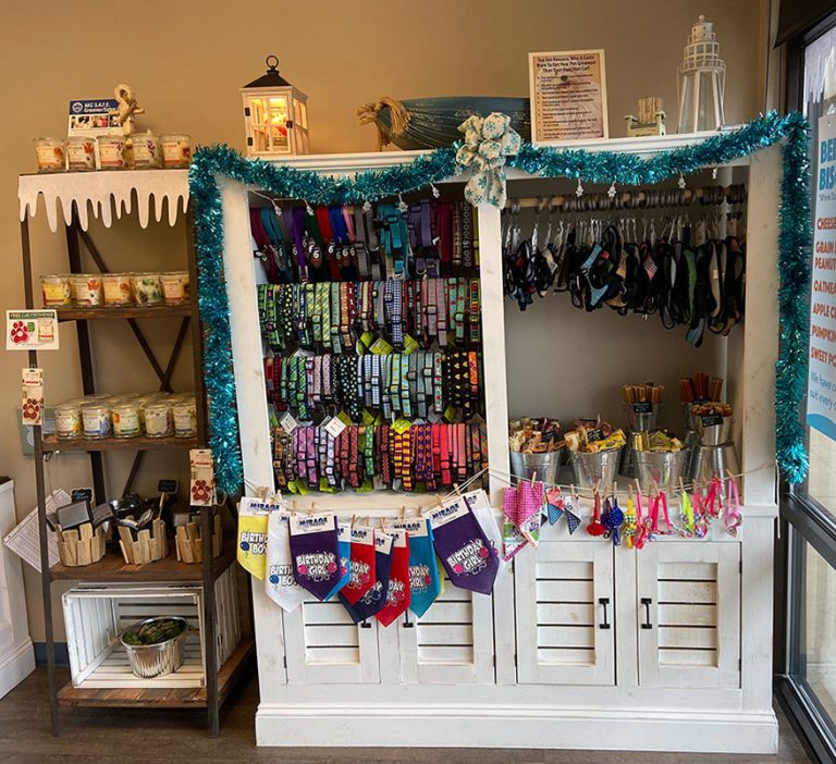 14 Inspirations for Your Collar and Leash Displays