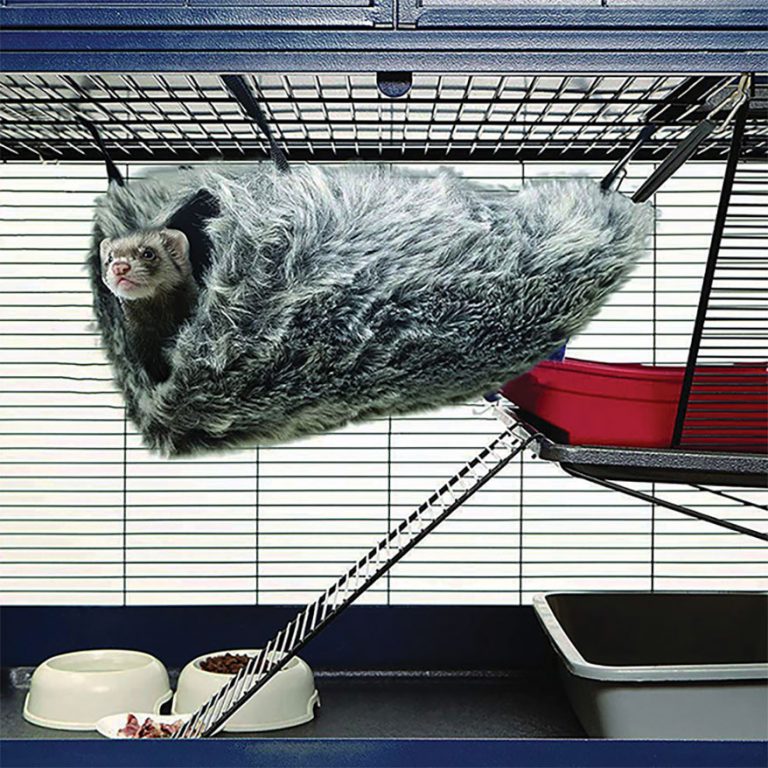 8 Small Pet Habitats to Keep Those Little Ones Cozy