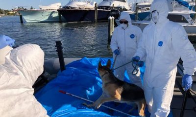 Dog rescued from boat in Florida