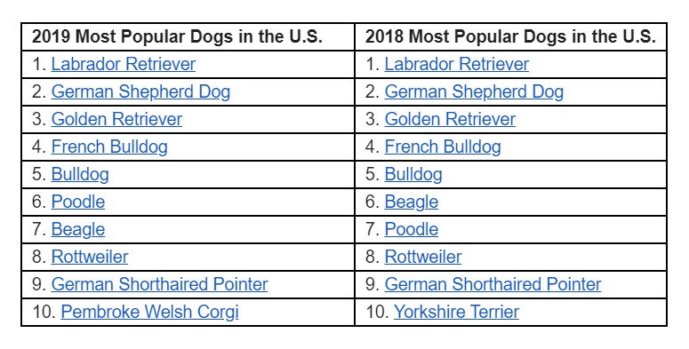 Most popular dog breeds list