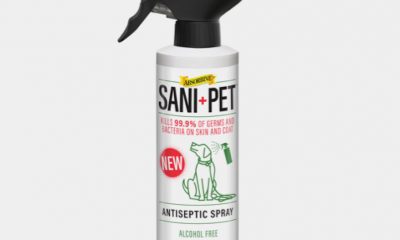 SaniPet Antiseptic Coat Spray