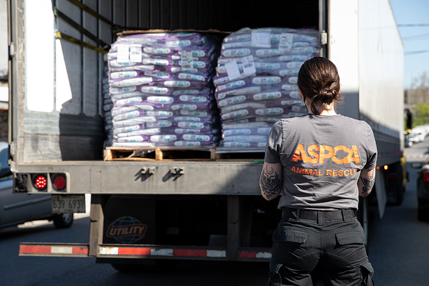 Stella and Chewy ASPCA Warehouse Delivery