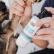 Skout's Honor Paw + Hand Sanitizer