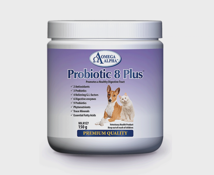 Omega Alpha Probiotic 8 Plus Powder