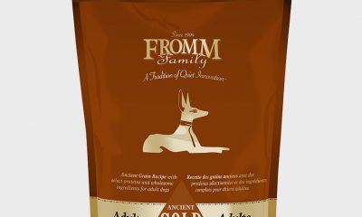 Fromm ancient gold dog dry adult