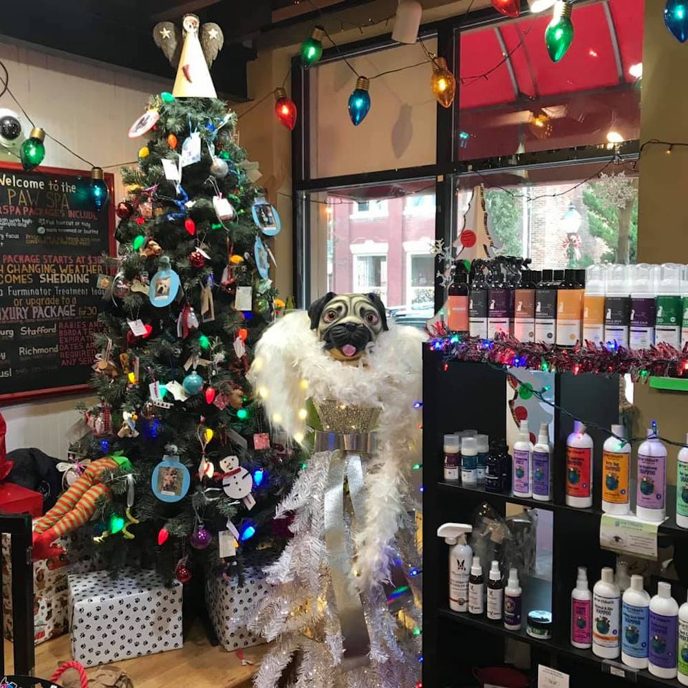 Even the Scroogiest of Pet Parents Can’t Resist These Holiday Displays