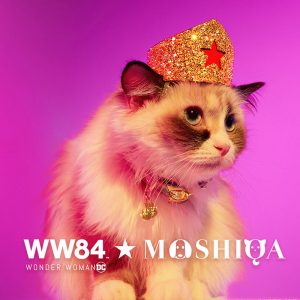 WW84 MOSHIQA