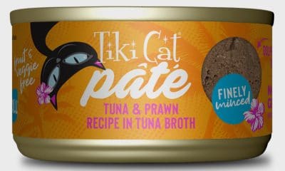 Tiki-Cat-Grill-Pate