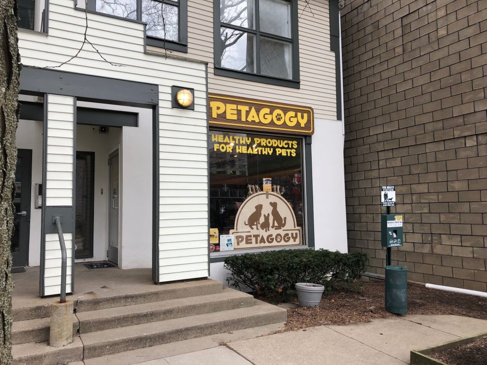 21 Photos That Show Why Petagogy Is One of America’s Coolest Stores