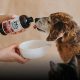 CRUDE CARNIVORE’s Handcrafted Bone Broth for Dogs + Cats