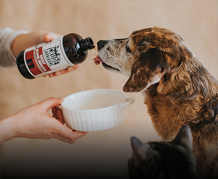 CRUDE CARNIVORE’s Handcrafted Bone Broth for Dogs + Cats