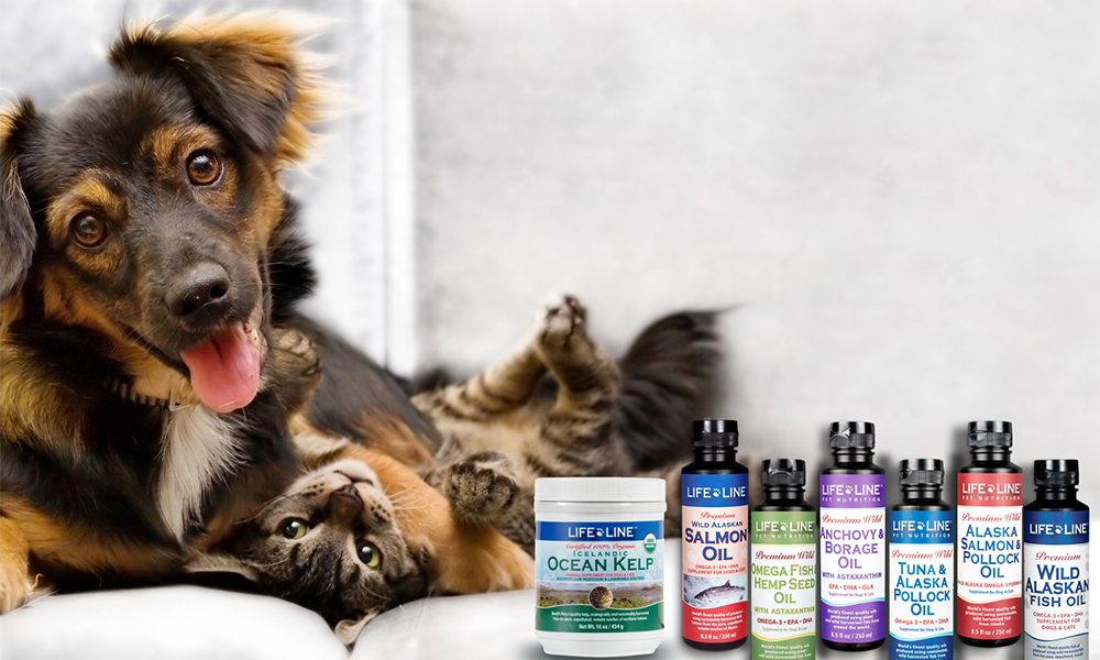 Life Line Pet Nutrition Launches New site