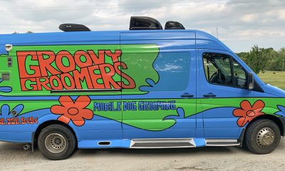 Groovy Groomers mobile groomer