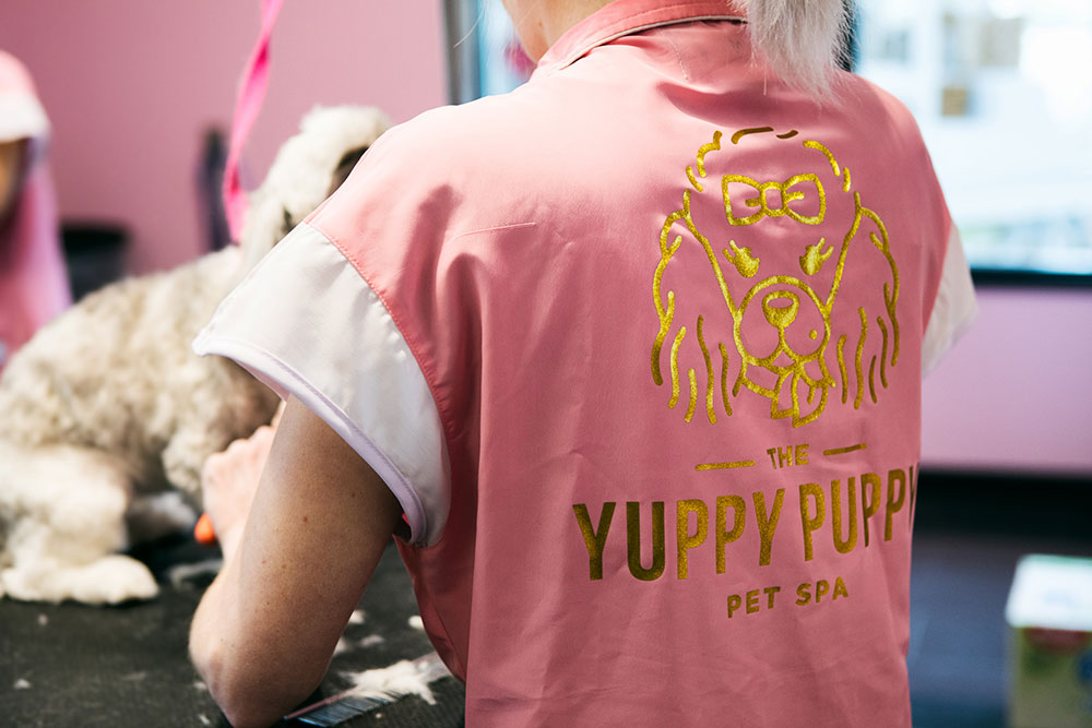 Pets Find a Home Away from Home at America's Coolest Yuppy Puppy ...