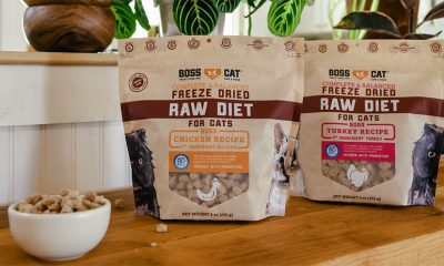 Boss Cat New Freeze Dried Raw Entrées For Cats