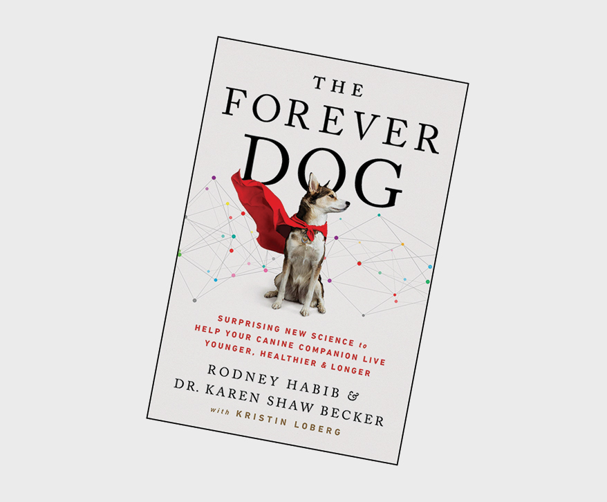 The-Forever-Dog-book