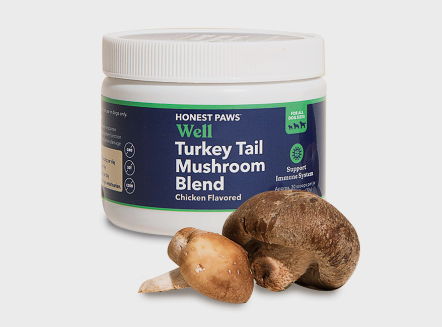 Honest-Paws---Wellness-Turkey-Tail-Mushroom--1-min