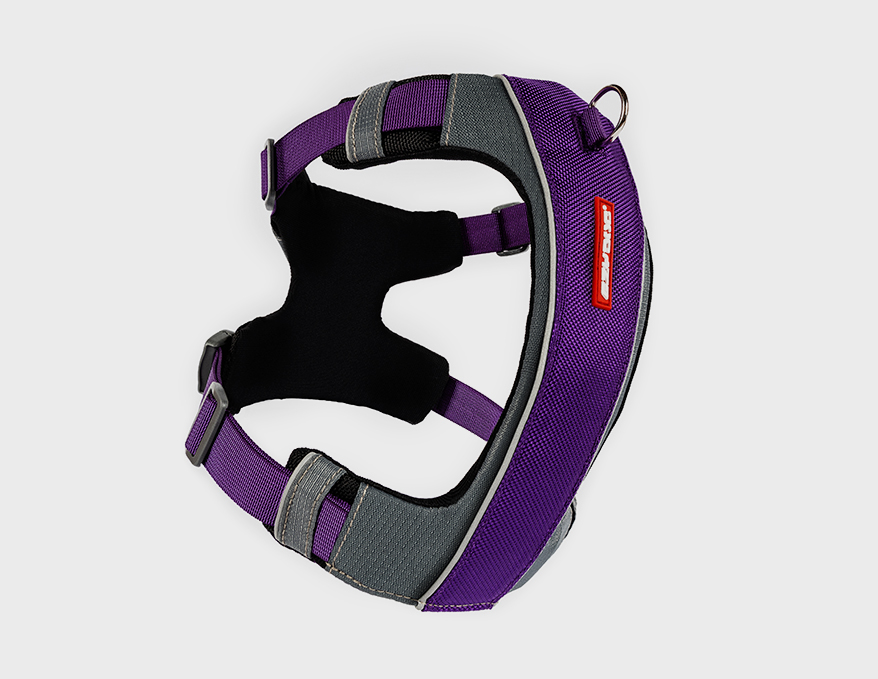 X-Link_Purple dog harness