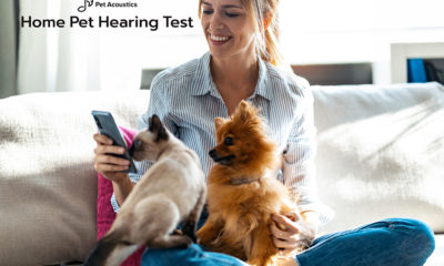 E-blast-hearing-test