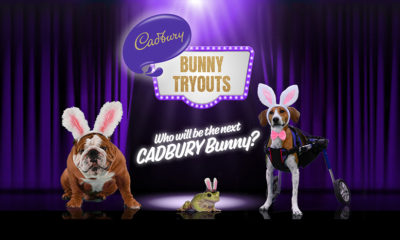 Hershey_Cadbury_Bunny_Tryouts