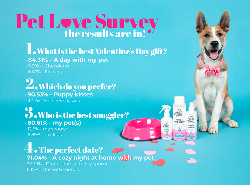 Pet-Love-Survey-Infographic