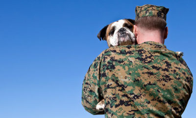 guy-in-military-uniform-holding-a-dog