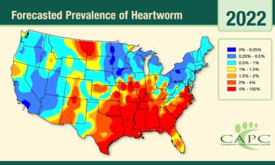 forecasted heartworm prevalence in pets infographic