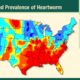 forecasted heartworm prevalence in pets infographic