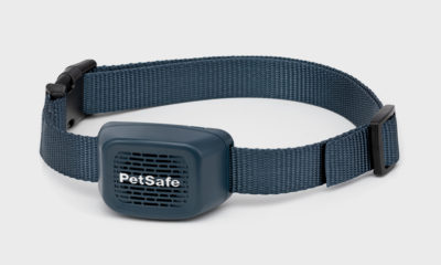 PetSafe-Audible-Bark-Collar