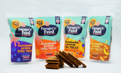 Forager's Feed Dog Treat Line