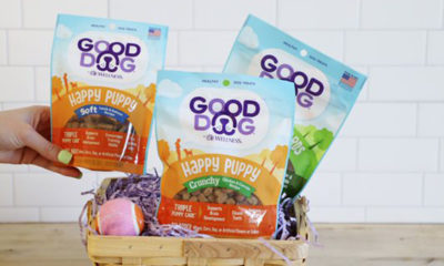 Good-Dog-Product-Launch-Close-Up