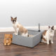 Multi-Cat_Litter_Box_LS_Three_Cats_01