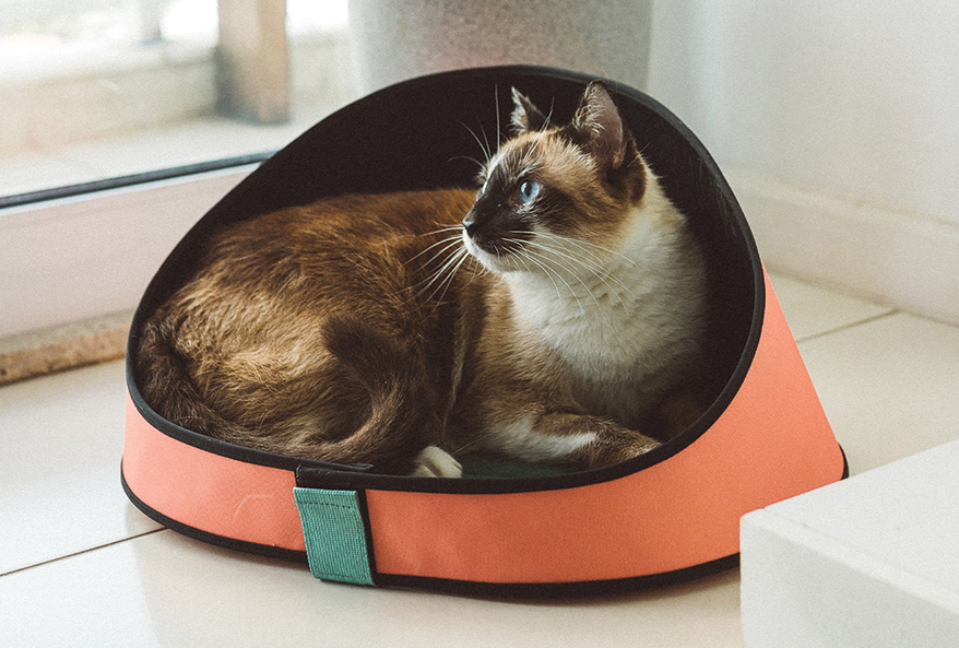 eedog-new-and-notable-cat-bed