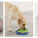 Outward_Hound_New_Products