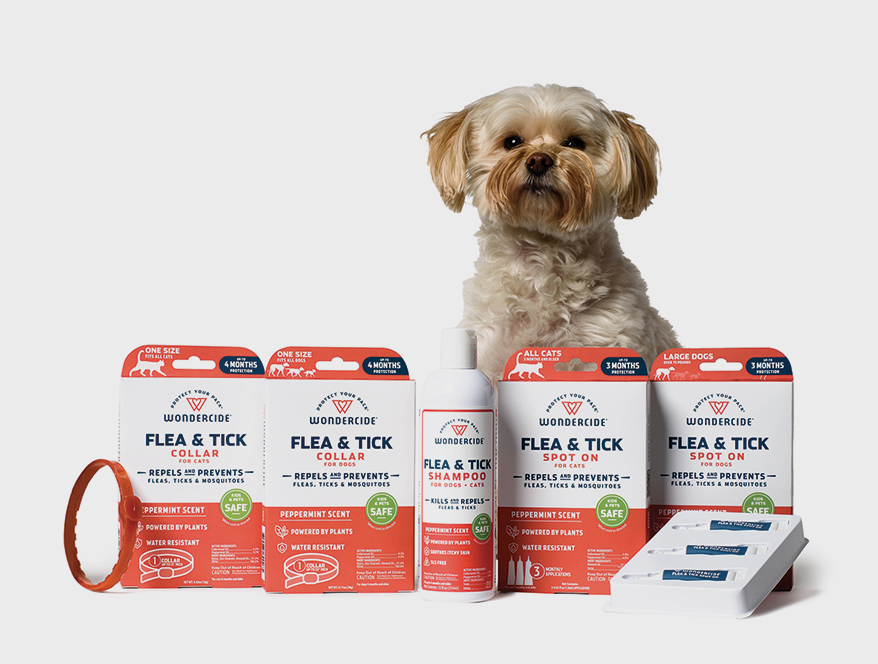 flea and tick product