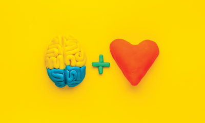 brain-plus-heart-image