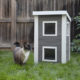 cat and cat house