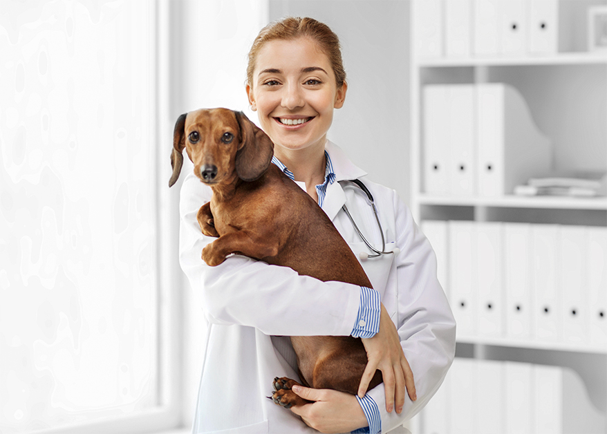 lady-veterinarian-carrying-dog
